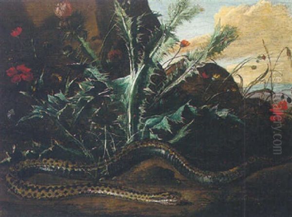 A Forest Floor Still Life With Thistles And An Adder Oil Painting by Niccolino Van Houbraken