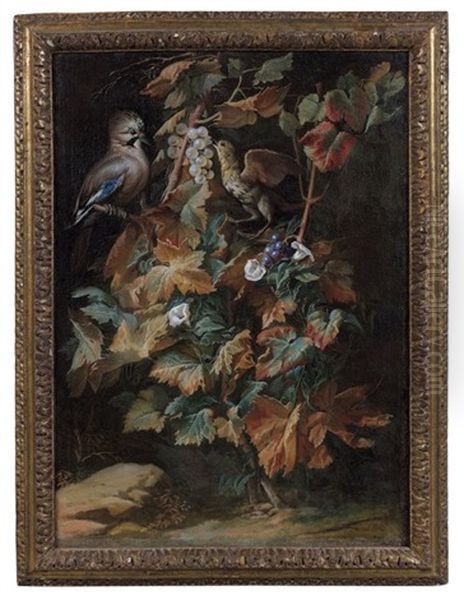 Geai Et Etourneau Sur Un Pied De Vigne Entoure De Liseron Oil Painting by Nicola van Houbraken