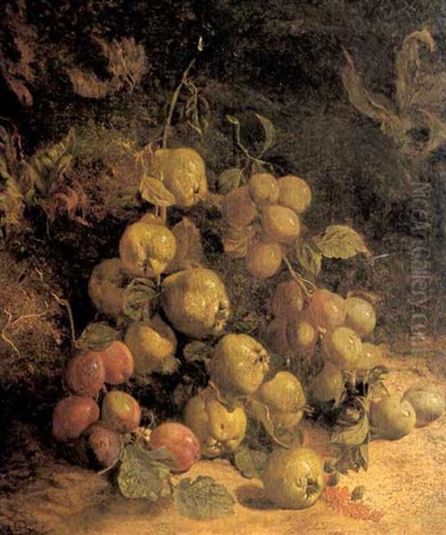 Pears, Plums And Greengages By A Mossy Bank Oil Painting by William Hough