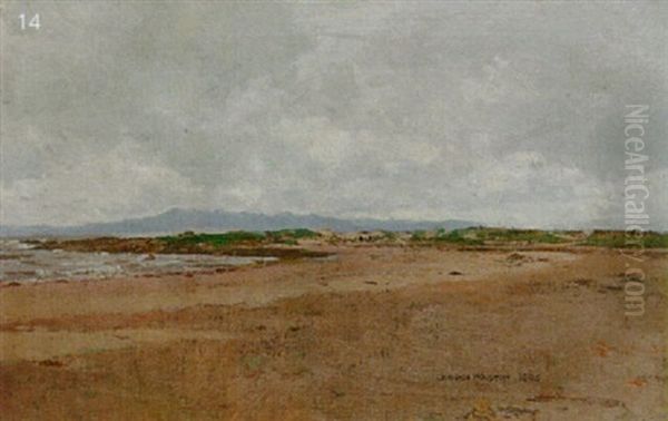 View Of Arran Oil Painting by George Houston