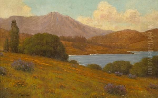 View Of Mt. Tamalpais Oil Painting by William Barr