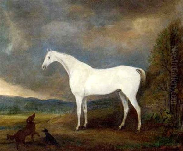 A Grey Hunter With Two Dogs In A Landscape by James (of Skirling) Howe