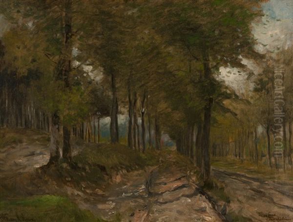 Tree-lined Pathway Oil Painting by William Henry Howe