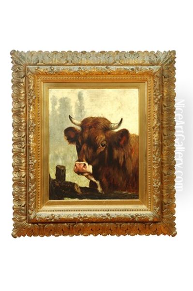 Portrait Of A Bull Oil Painting by William Henry Howe