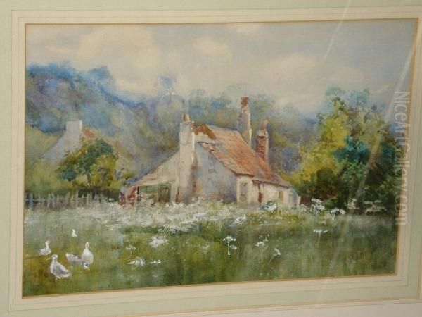 Ducks And Geese Before Cottages And Hills Oil Painting by James P. Barraclough