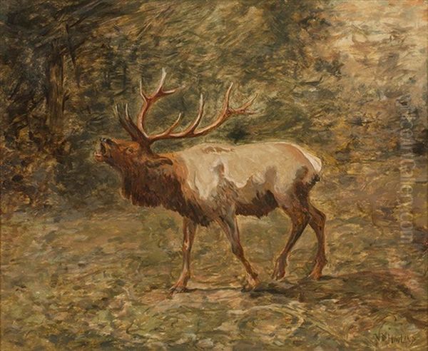 Elk by John Dare Howland