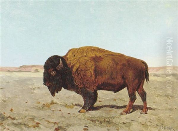 Prairie Bison Oil Painting by John Dare Howland