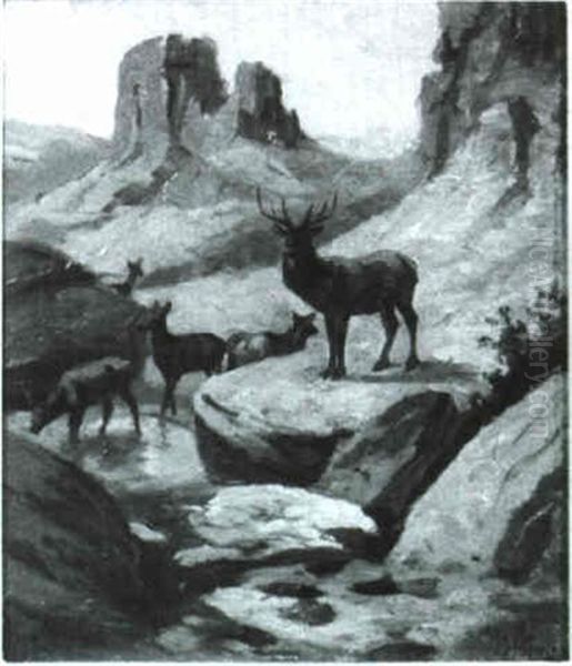 Elk At Waterhole Oil Painting by John Dare Howland