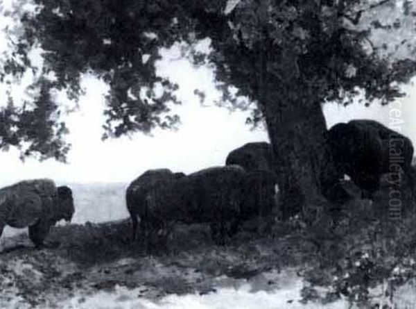 Buffalo Grazing Oil Painting by John Dare Howland