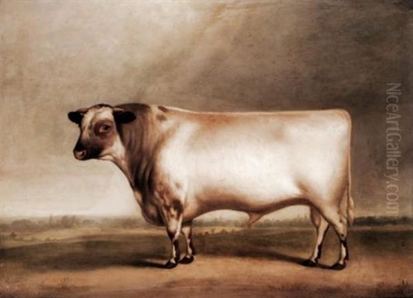 Ormsby, A Prize Bull, Bred By Mr William Cropper Of Laceby Oil Painting by Bennett Hubbard