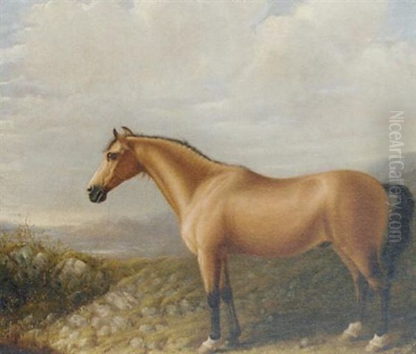 A Palomino Horse In A Mountainous Landscape Oil Painting by Bennett Hubbard