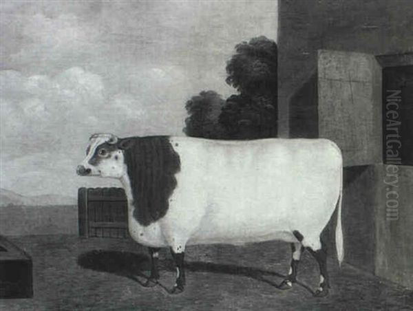 Bella, The Famous Champion Shorthorned Heifer Oil Painting by Charles Hubbard