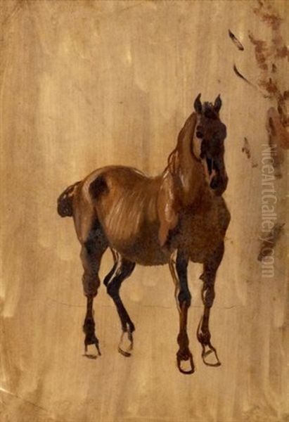 Cheval (study) Oil Painting by Jean Voltaire Huber