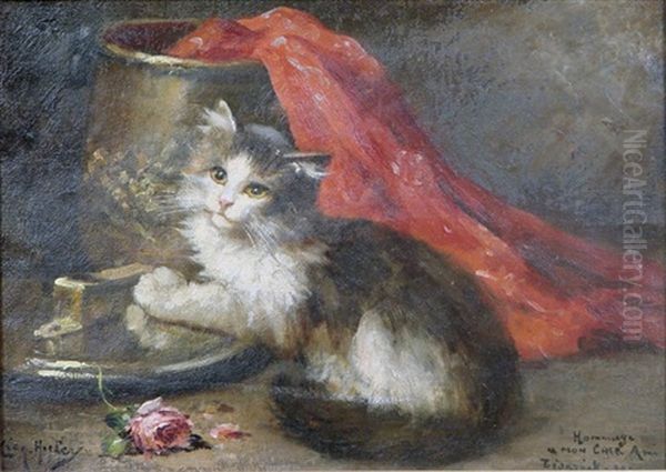 Chaton Et Pot En Cuivre Oil Painting by Leon Charles Huber