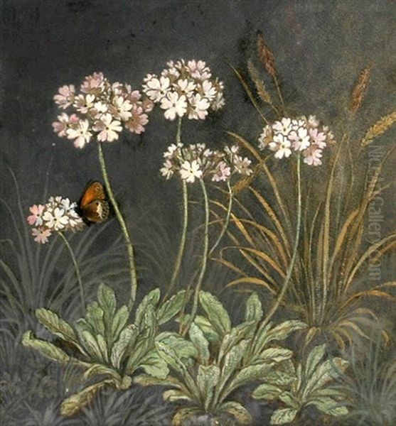 Wiesenblumen Mit Schmetterling by Hans Huber-Sulzemoos