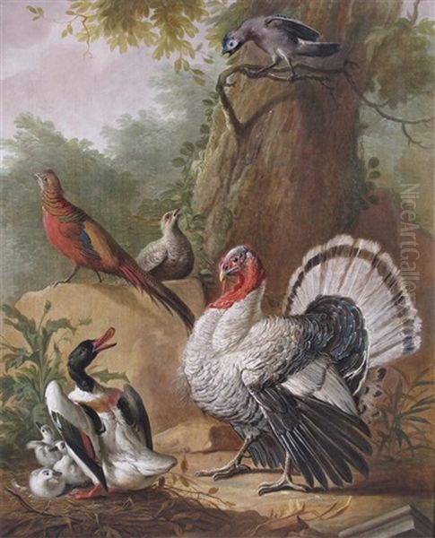 A Duck Protecting Its Young From A Turkey, Pheasants And A Jay By A Tree Oil Painting by Louis (Lewis) Hubner