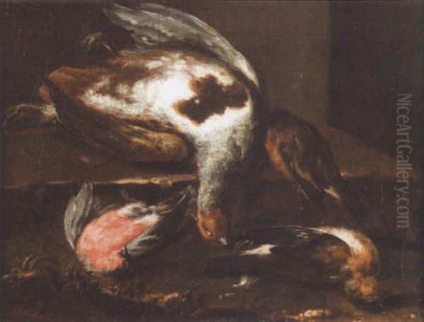 A Dead Partridge, Bullfinch And Other Birds On A Ledge Oil Painting by Louis (Lewis) Hubner