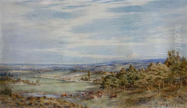 Extensive View Of Taranaki And Mt Egmont Oil Painting by Charles Decimus Barraud