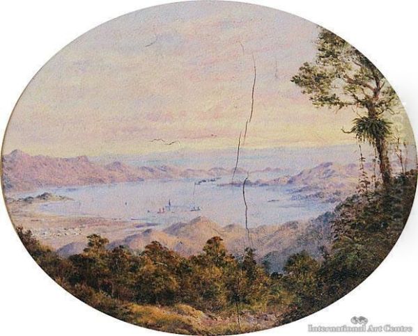 Coromandel Peninsula Oil Painting by Charles Decimus Barraud