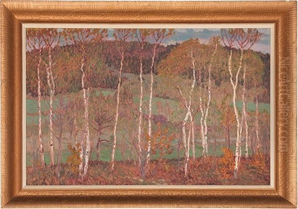 Landscape With Birch Trees Oil Painting by Antonin Hudecek