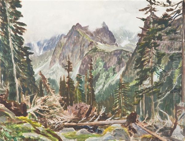 A Motif From The High Tatras Oil Painting by Antonin Hudecek