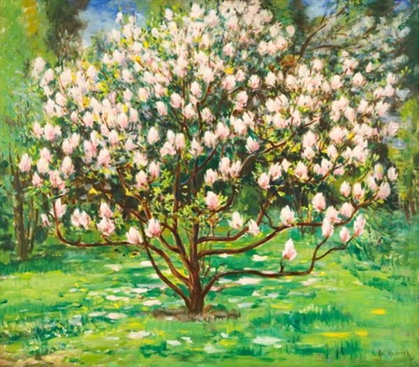 Magnolie Oil Painting by Antonin Hudecek