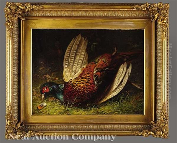 Still Life With Pheasant And Still Life With Rock Dove (pair) Oil Painting by Robert Hudson Jr.