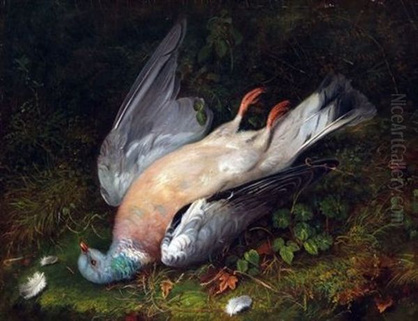 Dead Pigeon Oil Painting by Robert Hudson Sr.