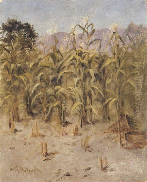 The Cornfield Oil Painting by Grace Carpenter Hudson