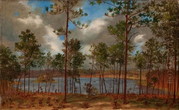 View From The Woods Oil Painting by John Bradley Hudson