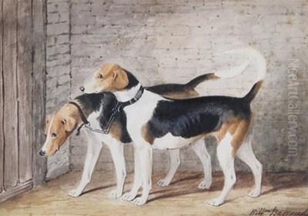 Two Hounds In A Stable Oil Painting by William Barraud