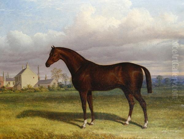 A Landscape With A Bay Horse Oil Painting by William Francis Barraud