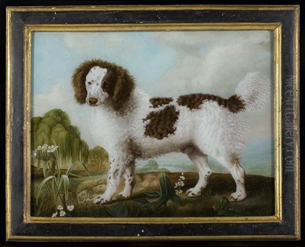 King Charles, Spitz Allemand Noir Et Blanc, Caniche And Caniche Bicolore Oil Painting by Nicolas Huet