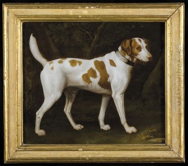 King Charles, Braque Saint-germain, Chien D'eau Romagnol And Foxhund Oil Painting by Nicolas Huet