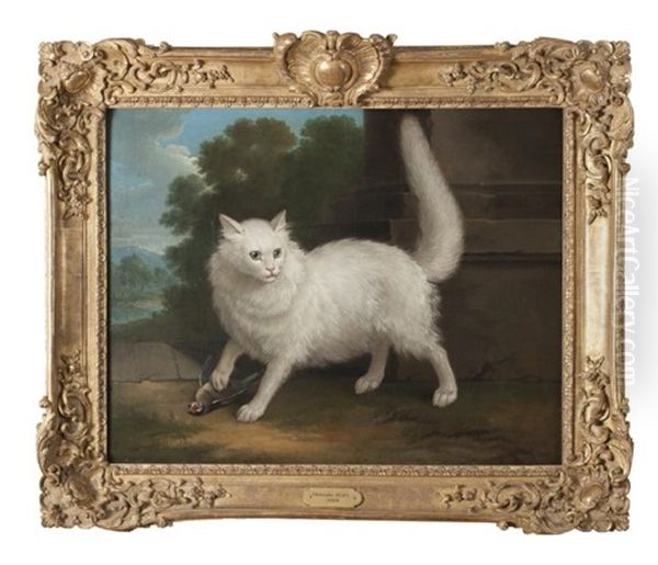 Chat Angora Blanc Chasseur Oil Painting by Christophe Huet