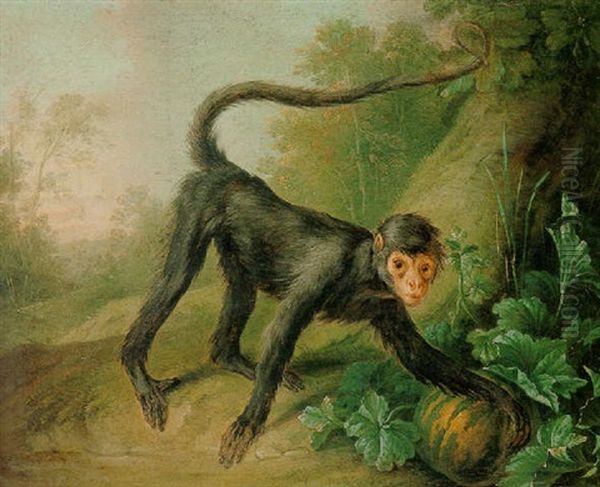 A Wooded Landscape With A Black Spider Monkey At The Base Of A Tree Oil Painting by Christophe Huet