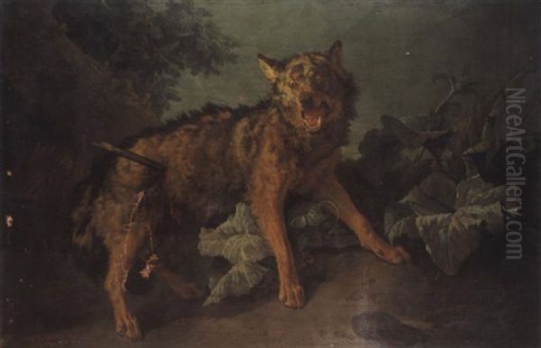 Le Loup Blesse Oil Painting by Jean Baptiste Huet