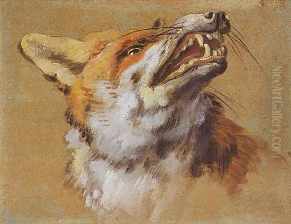 Tete De Renard Oil Painting by Jean Baptiste Huet