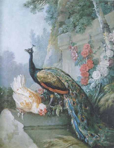 Le Paon Et Le Coq Dans Un Jardin Oil Painting by Jean Baptiste Huet