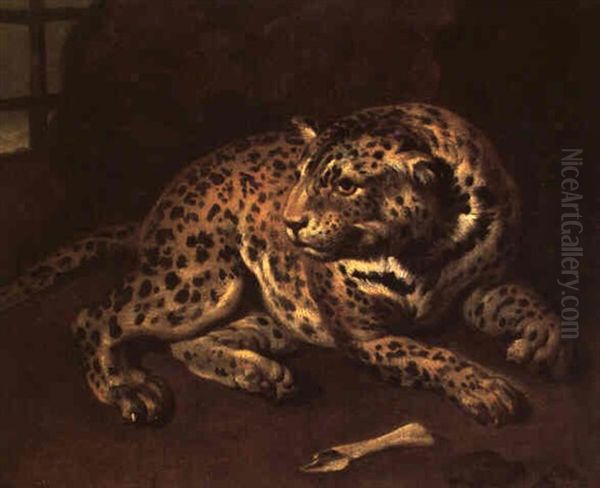 Etude De Guepard Oil Painting by Jean Baptiste Huet