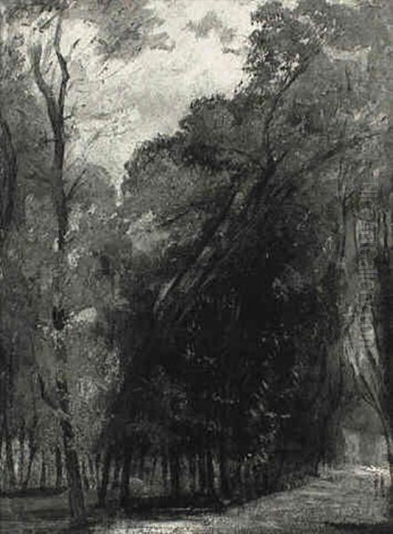 Allee D'ormes Dans Le Parc De Saint-cloud Oil Painting by Paul Huet