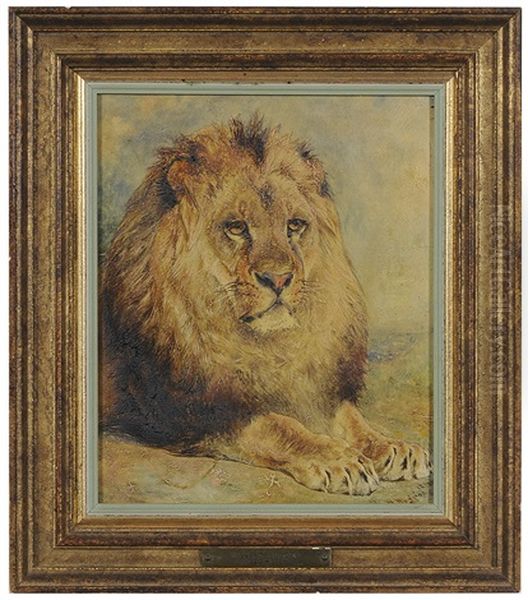 Recumbent Lion Oil Painting by William Huggins