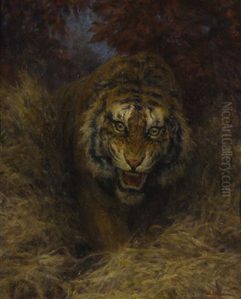 Tiger In The Grass Oil Painting by William Huggins