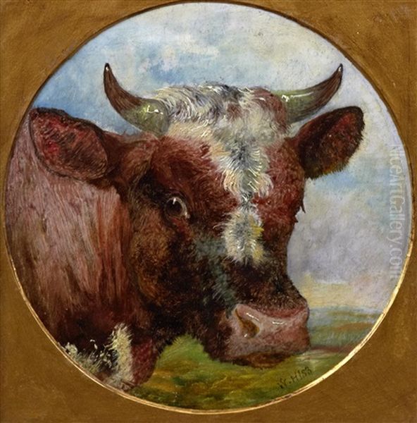 Head Of A Bull Oil Painting by William Huggins