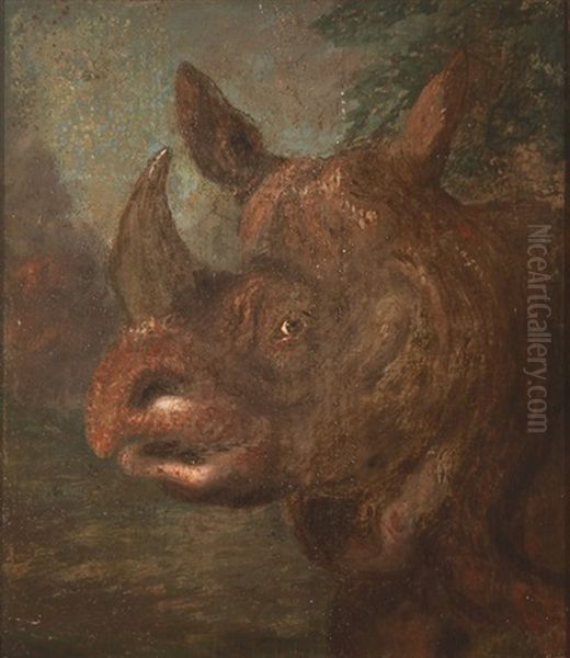 Rhinoceros Oil Painting by William Huggins