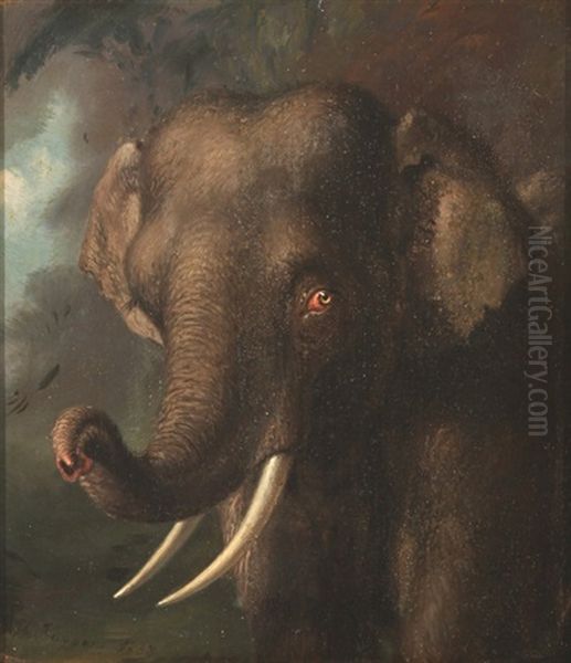 Elephant Oil Painting by William Huggins