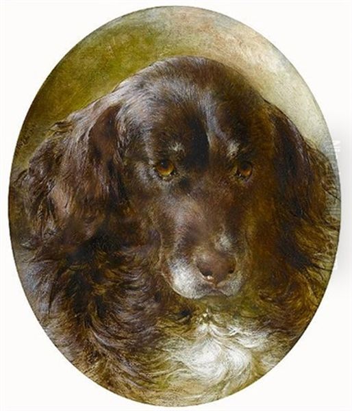 Portrait Of A Newfoundland Oil Painting by William Huggins