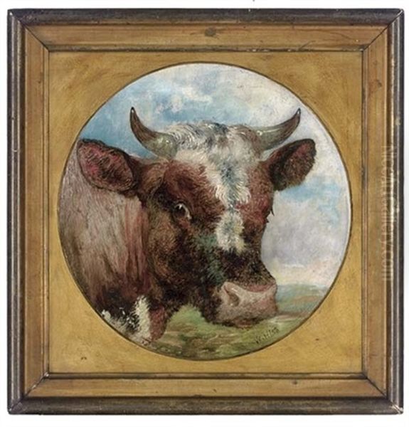 Study Of A Cow's Head Oil Painting by William Huggins