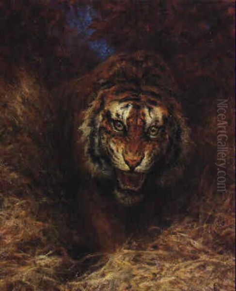 Tiger In The Grass Oil Painting by William Huggins