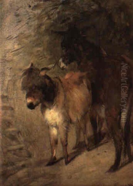 Two Donkeys Oil Painting by William Huggins